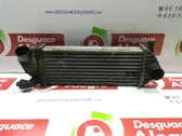 Radiador intercooler