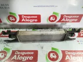 Intercooler radiator