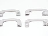 Front interior roof grab handle