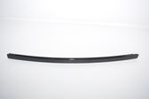 Rear door trim (molding)