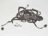 Front door wiring loom
