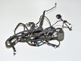 Rear door wiring loom