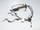 Cableado de puerta trasera