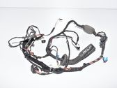 Front door wiring loom