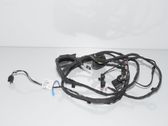 Front door wiring loom