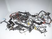 Other wiring loom