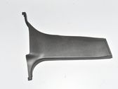 (D) pillar trim (bottom)