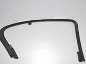 Rear door glass trim molding