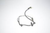 Other wiring loom