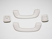Front interior roof grab handle