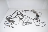 Left interior wiring harness