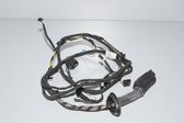 Front door wiring loom