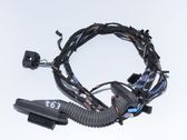 Front door wiring loom