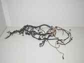 Engine installation wiring loom