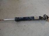 Rear shock absorber/damper