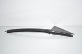 Rear door glass trim molding