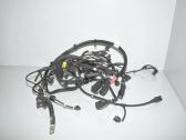 Engine installation wiring loom