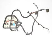 Engine installation wiring loom