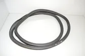 Trunk rubber seal (body)