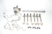 Fuel injection system set