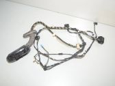 Front door wiring loom
