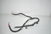 Positive wiring loom