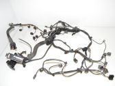 Engine installation wiring loom