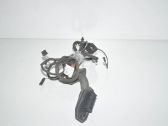 Rear door wiring loom