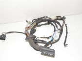Front door wiring loom