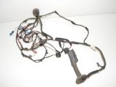 Front door wiring loom
