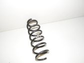 Front coil spring