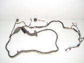 Rear door wiring loom