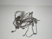 Front door wiring loom