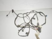 Front door wiring loom