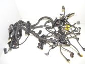 Engine installation wiring loom