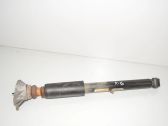 Stoßdämpfer hinten