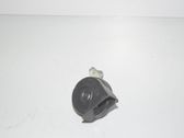 Horn signal