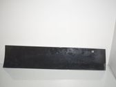 Rear door trim (molding)