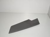 Front door trim (molding)