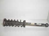 Rear shock absorber/damper