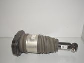 Shock absorber/damper/air suspension