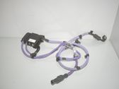 Other wiring loom