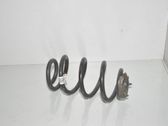 Rear coil spring