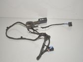 Cableado de puerta trasera