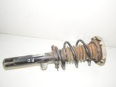 Amortiguador delantero con muelle espiral