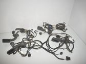 Front door wiring loom