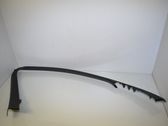 Other front door trim element