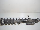 Rear shock absorber/damper