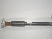 Rear shock absorber/damper