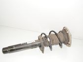 Front shock absorber with coil spring
